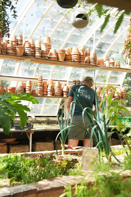 Gardening in the glasshouse, Into the Prairie, Brittany