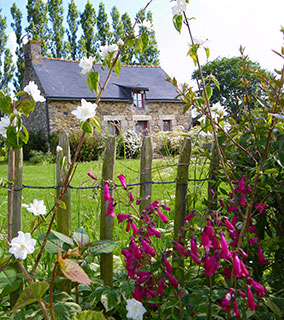 Rose, romantic cottage in Brittany, France