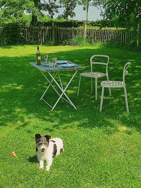 Chien heureux dans le jardin, Gîte Into the Prairie