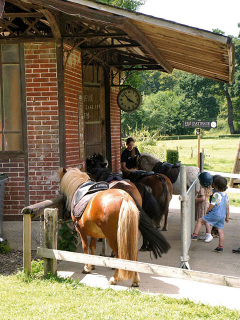 Ponyrijden voor kinderen in Plélo, Bretagne