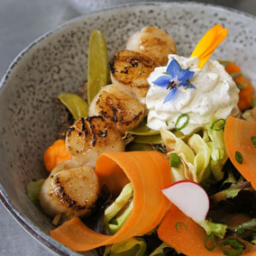 Romantisch diner met zeevruchten